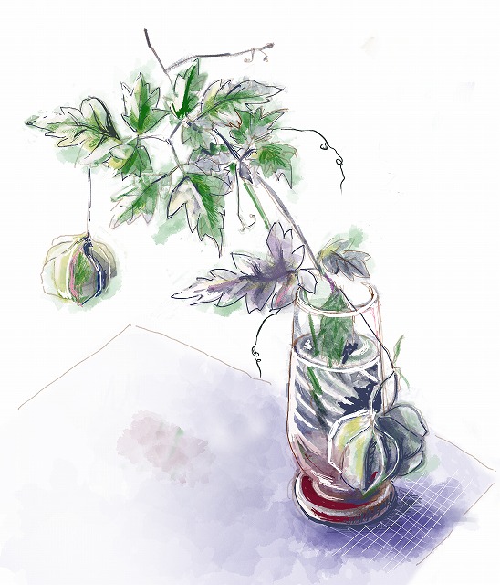 げんママイラスト